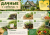 Основные преимущества кровати с мягким изголовьем